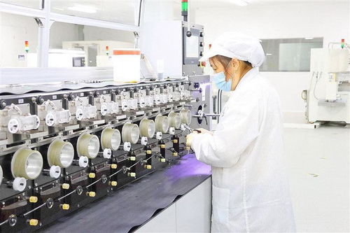 整合科創資源搶占新興賽道 遂寧新質生產力蓄勢而行